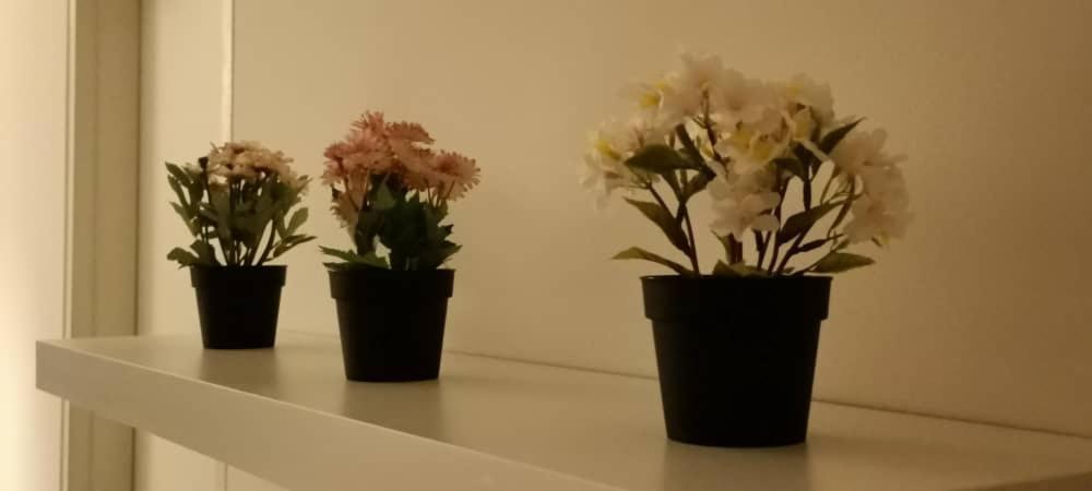Cozy Studio Unit,Cyberjaya,Wifi, Netflix,Free Parking エクステリア 写真